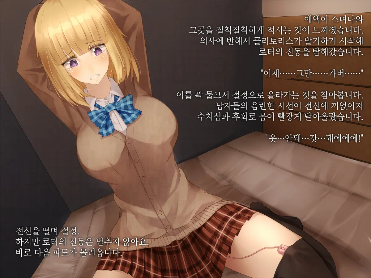 Seigikan No Tsuyoi Ano Ko Ga Mou Ichido Ochiru Made